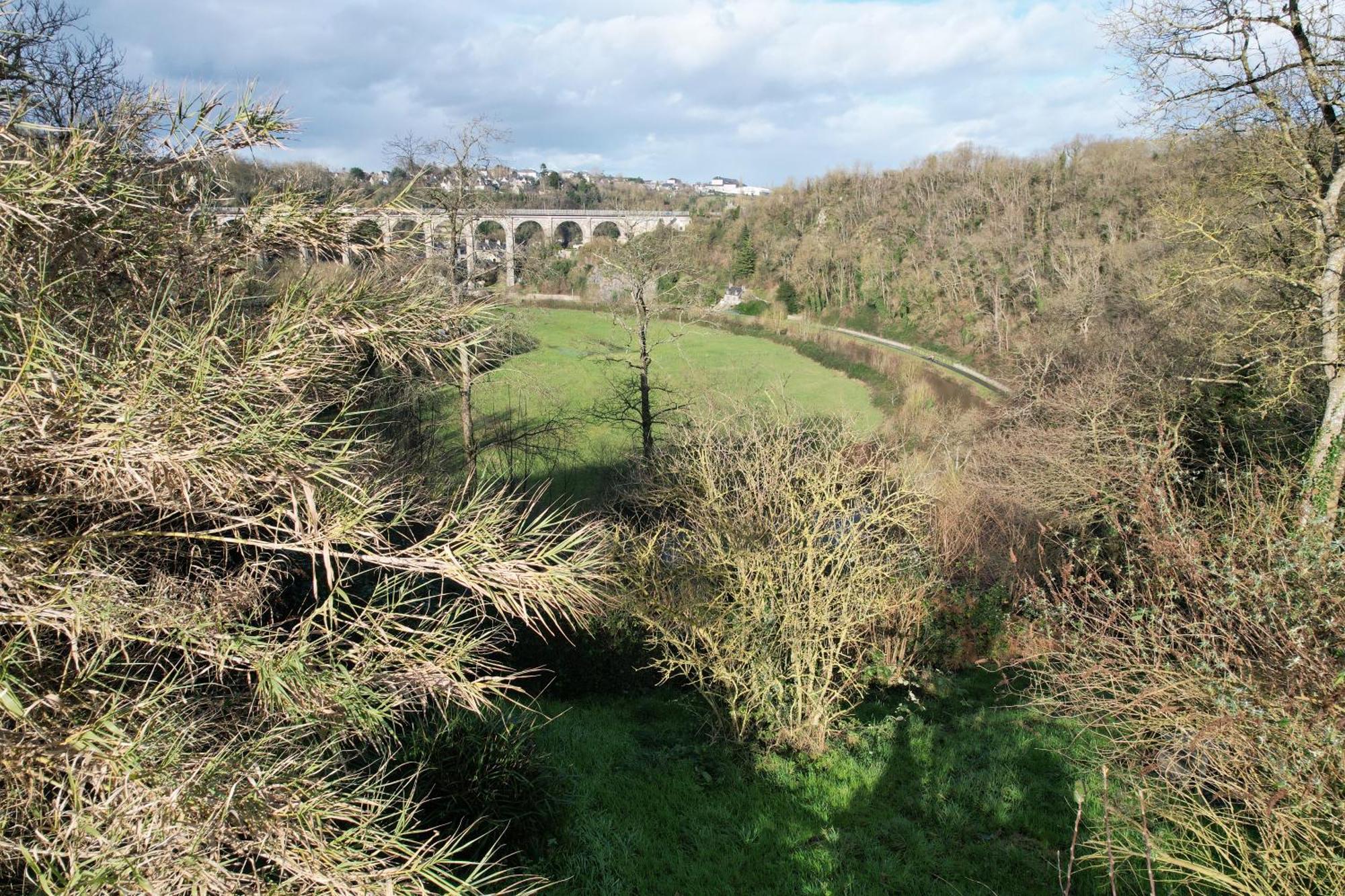O Bois Dormant- Studio Vue Rance River Et Viaduc De Dinan Lanvallay Exterior foto