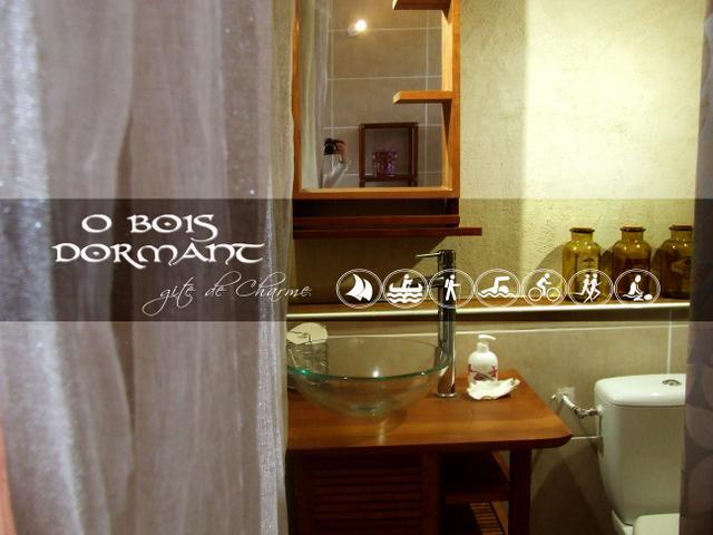 O Bois Dormant- Studio Vue Rance River Et Viaduc De Dinan Lanvallay Exterior foto